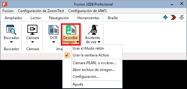 El botón Describir imagen  en la página Herramientas. Si se selecciona la mitad inferior del botón Describir imagen, se mostrará una lista de opciones. 