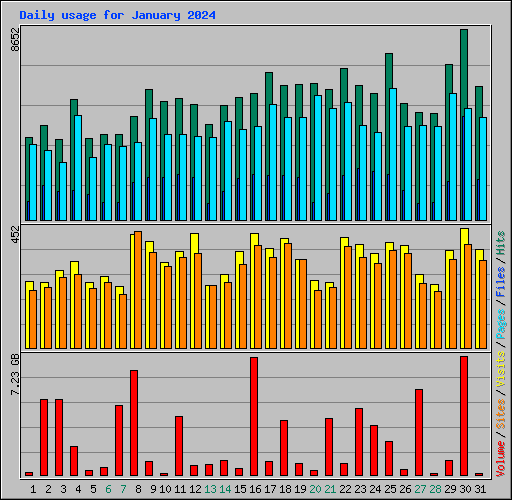 Daily usage for January 2024