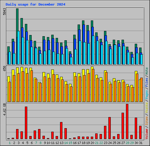 Daily usage for December 2024