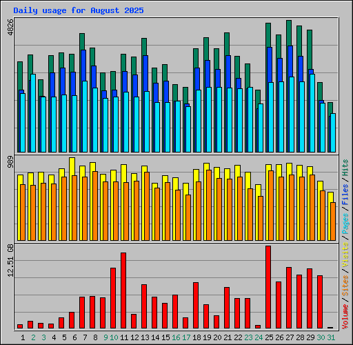 Daily usage for August 2025