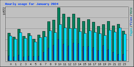 Hourly usage for January 2024