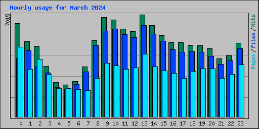 Hourly usage for March 2024