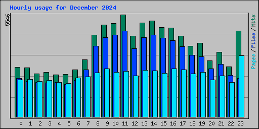 Hourly usage for December 2024