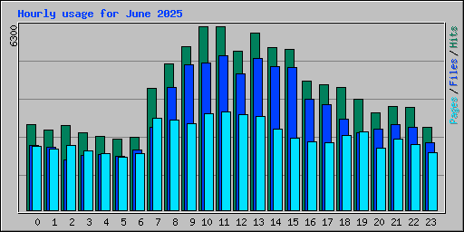 Hourly usage for June 2025