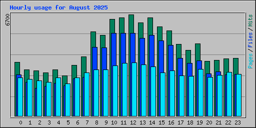 Hourly usage for August 2025