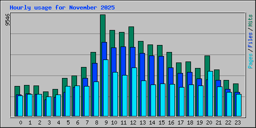 Hourly usage for November 2025