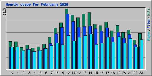 Hourly usage for February 2026