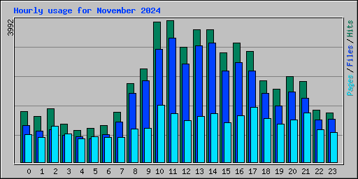 Hourly usage for November 2024