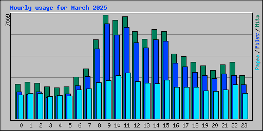 Hourly usage for March 2025