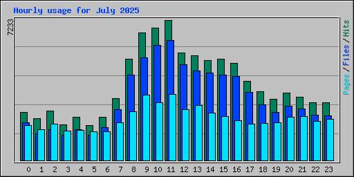 Hourly usage for July 2025