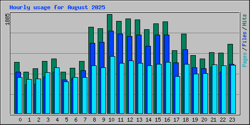 Hourly usage for August 2025