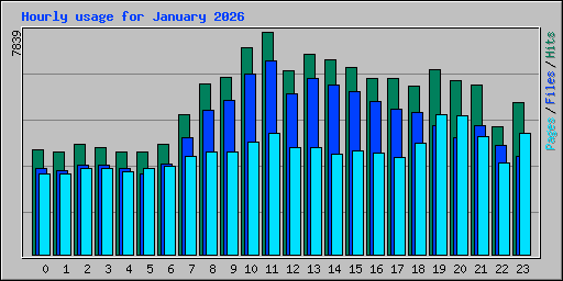 Hourly usage for January 2026