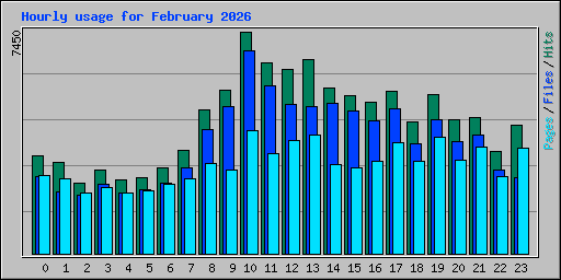 Hourly usage for February 2026